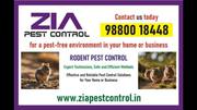 Cockroach Pest Control near me || 7043